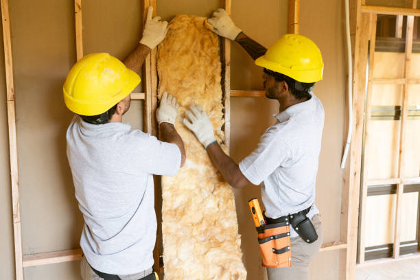 Best Local Insulation Services  in Nanticoke, PA