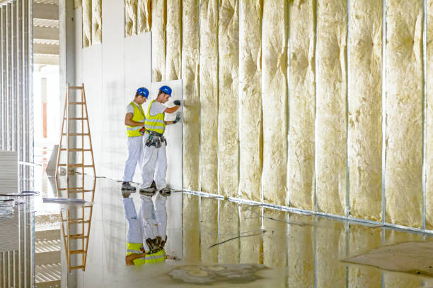 Best Blown-in Insulation  in Nanticoke, PA